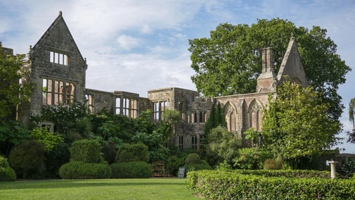 Nymans ruins in June